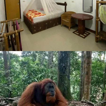 Brown Bamboo Guest House & Trekking Bukit Lawang Eksteriør bilde